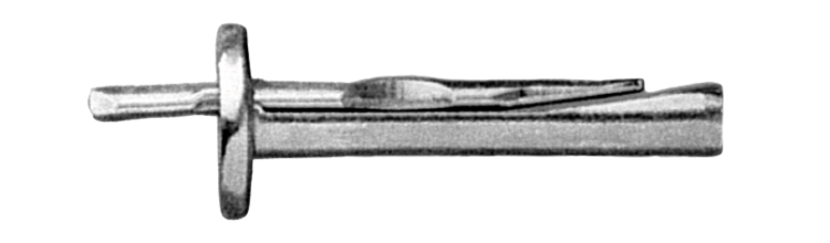 Imagen de Clavo de cuña