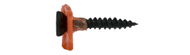 Imagen de Båndet Kryssfinerskrue